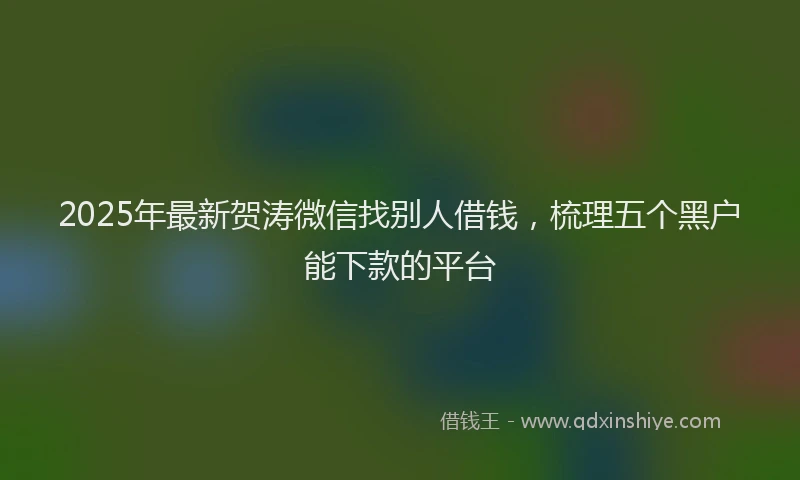 2025年最新贺涛微信找别人借钱，梳理五个黑户能下款的平台