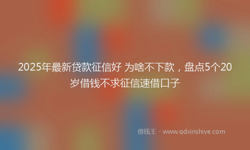 2025年最新贷款征信好 为啥不下款，盘点5个20岁借钱不求征信速借口子