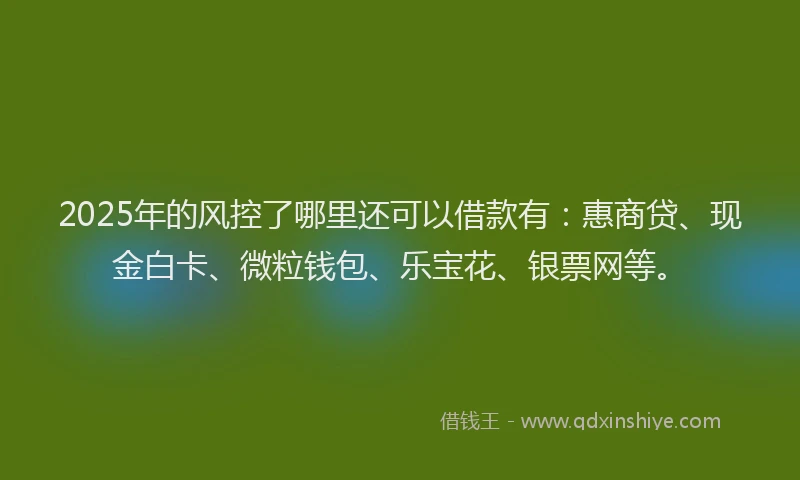 2025年的风控了哪里还可以借款有：惠商贷、现金白卡、微粒钱包、乐宝花、银票网等。
