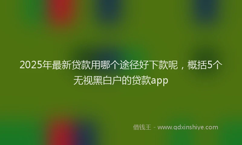 2025年最新贷款用哪个途径好下款呢，概括5个无视黑白户的贷款app