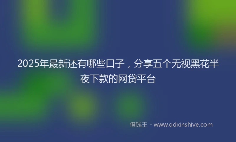2025年最新还有哪些口子，分享五个无视黑花半夜下款的网贷平台