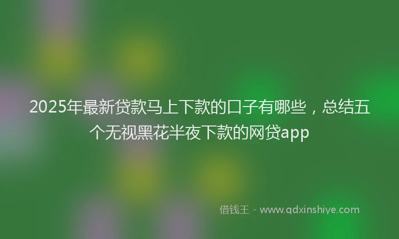 2025年最新贷款马上下款的口子有哪些，总结五个无视黑花半夜下款的网贷app