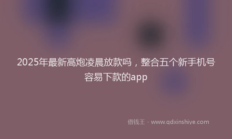 2025年最新高炮凌晨放款吗，整合五个新手机号容易下款的app