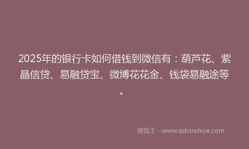 2025年的银行卡如何借钱到微信有：葫芦花、紫晶信贷、易融贷宝、微博花花金、钱袋易融途等。