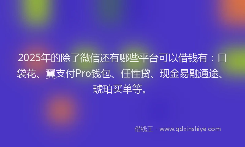 2025年的除了微信还有哪些平台可以借钱有：口袋花、翼支付Pro钱包、任性贷、现金易融通途、琥珀买单等。