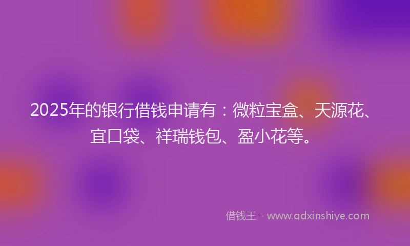 2025年的银行借钱申请有：微粒宝盒、天源花、宜口袋、祥瑞钱包、盈小花等。