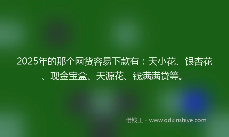 2025年的那个网货容易下款有：天小花、银杏花、现金宝盒、天源花、钱满满贷等。