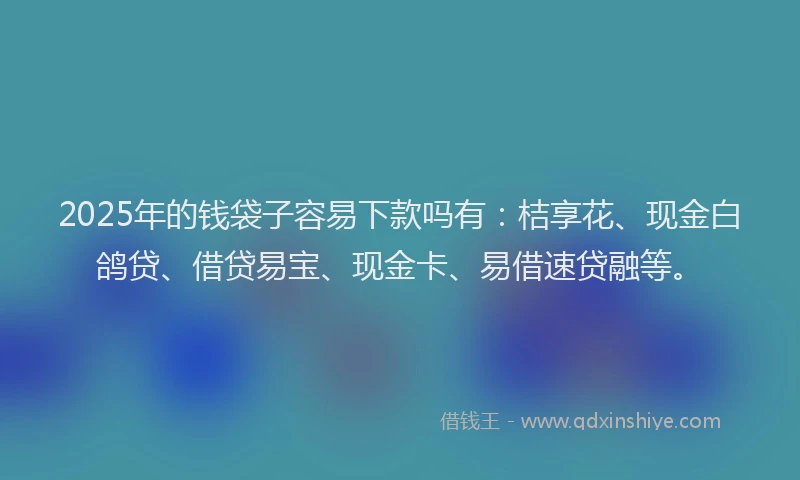 2025年的钱袋子容易下款吗有：桔享花、现金白鸽贷、借贷易宝、现金卡、易借速贷融等。