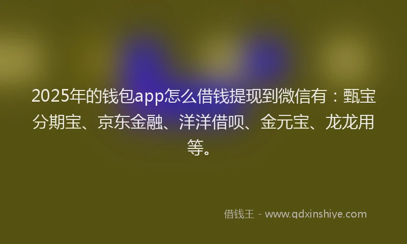 2025年的钱包app怎么借钱提现到微信有：甄宝分期宝、京东金融、洋洋借呗、金元宝、龙龙用等。