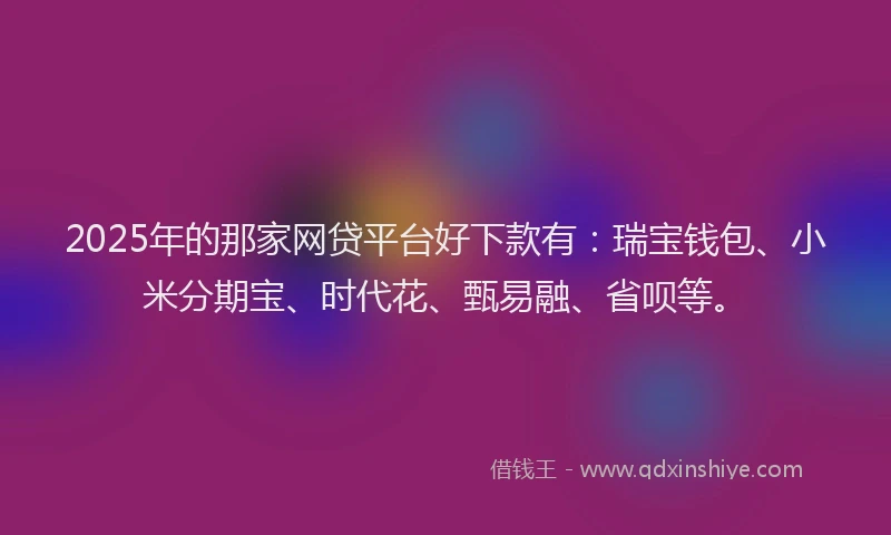 2025年的那家网贷平台好下款有：瑞宝钱包、小米分期宝、时代花、甄易融、省呗等。
