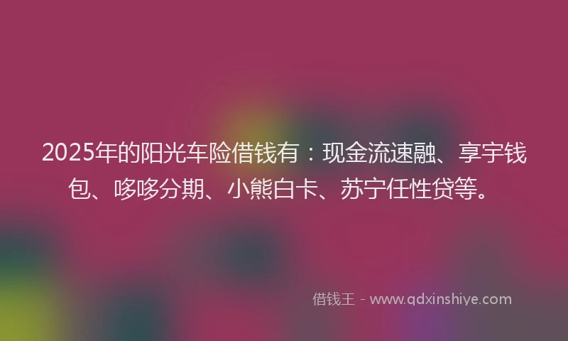 2025年的阳光车险借钱有:现金流速融、享宇钱包、哆哆分期、小熊白卡、苏宁任性贷等。
