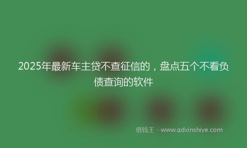 2025年最新车主贷不查征信的,盘点五个不看负债查询的软件