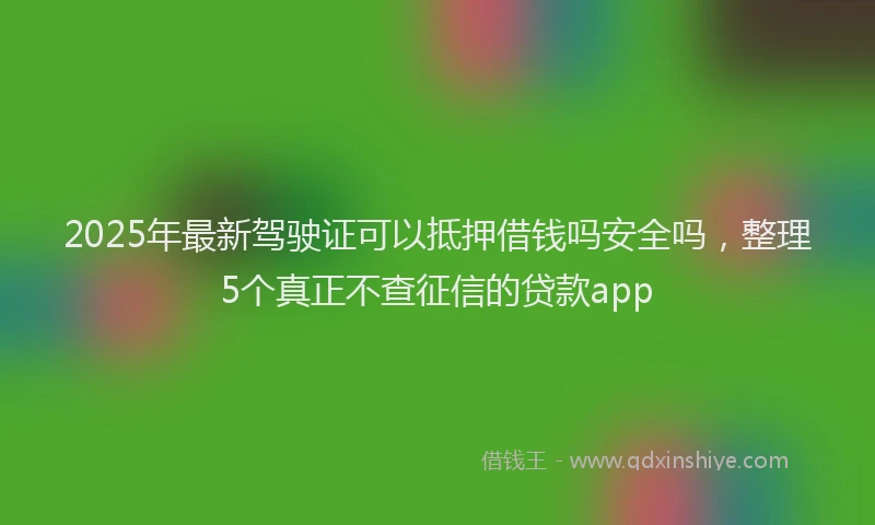 2025年最新驾驶证可以抵押借钱吗安全吗，整理5个真正不查征信的贷款app