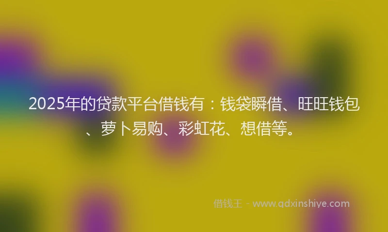 2025年的贷款平台借钱有：钱袋瞬借、旺旺钱包、萝卜易购、彩虹花、想借等。