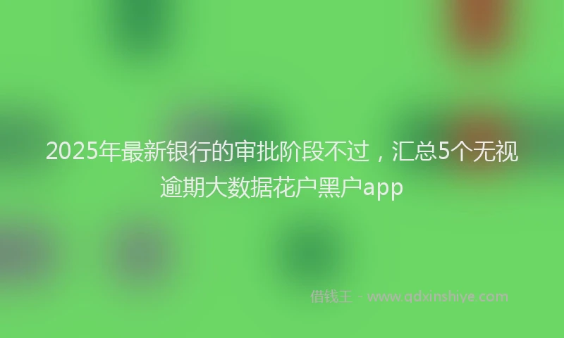 2025年最新银行的审批阶段不过，汇总5个无视逾期大数据花户黑户app