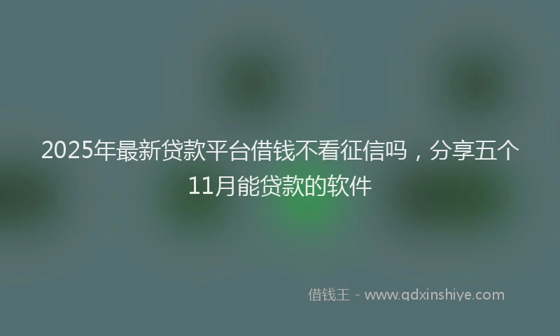2025年最新贷款平台借钱不看征信吗，分享五个11月能贷款的软件