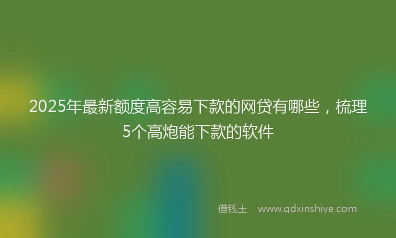 2025年最新额度高容易下款的网贷有哪些，梳理5个高炮能下款的软件
