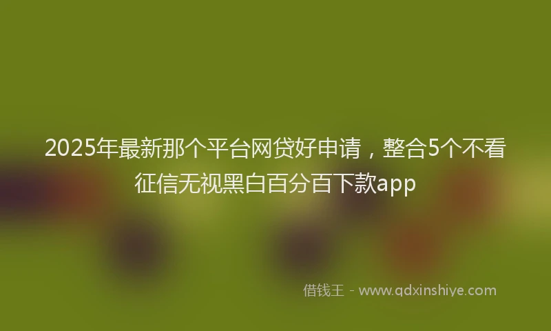 2025年最新那个平台网贷好申请，整合5个不看征信无视黑白百分百下款app