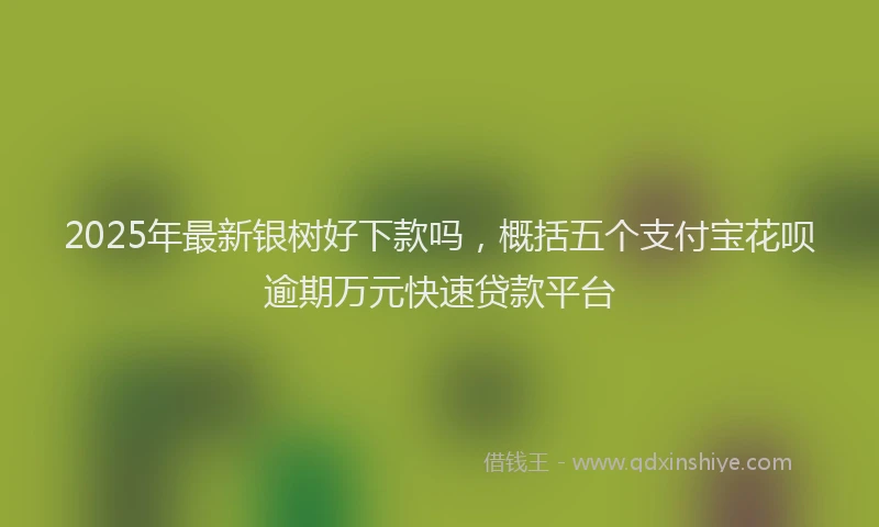 2025年最新银树好下款吗，概括五个支付宝花呗逾期万元快速贷款平台