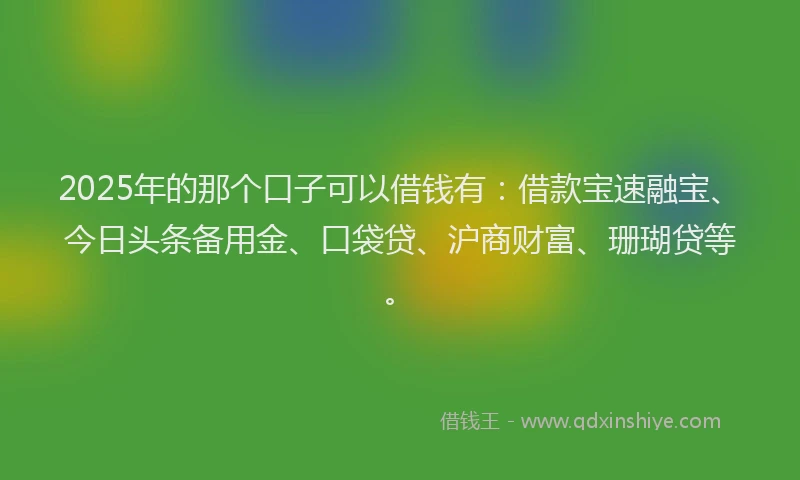 2025年的那个口子可以借钱有：借款宝速融宝、今日头条备用金、口袋贷、沪商财富、珊瑚贷等。
