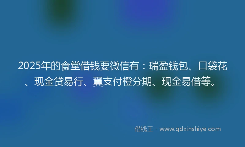 2025年的食堂借钱要微信有：瑞盈钱包、口袋花、现金贷易行、翼支付橙分期、现金易借等。