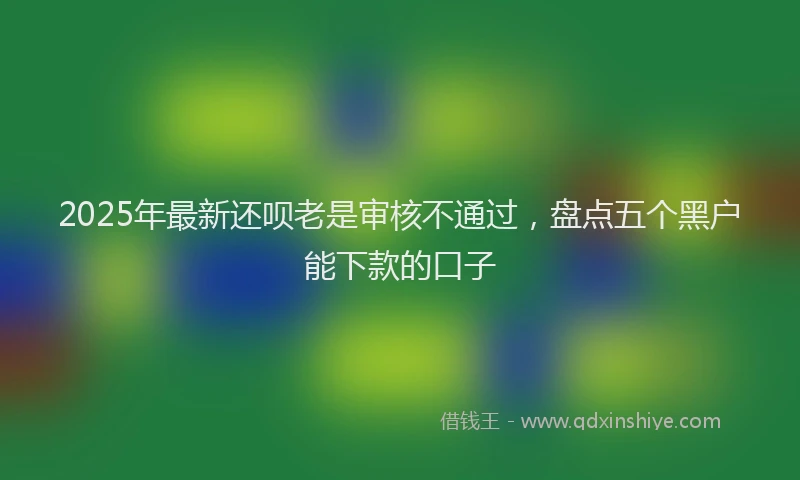 2025年最新还呗老是审核不通过，盘点五个黑户能下款的口子