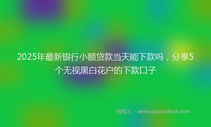 2025年最新银行小额贷款当天能下款吗，分享5个无视黑白花户的下款口子