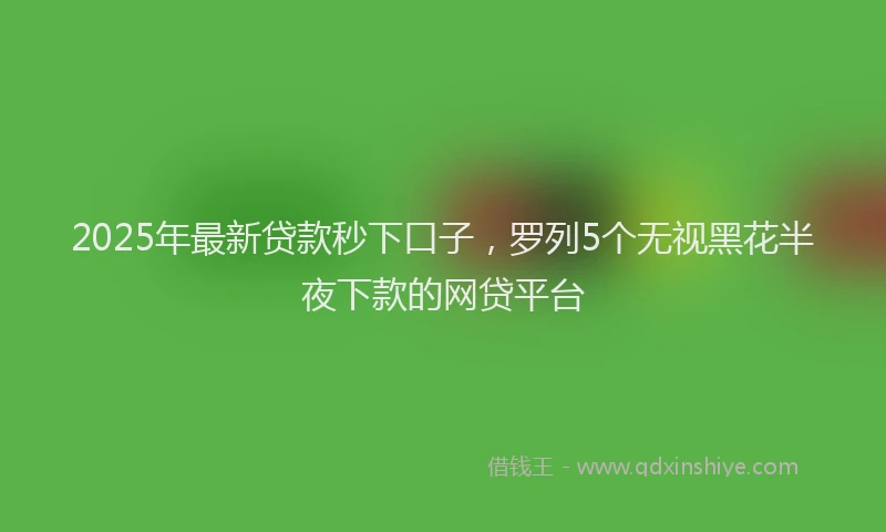 2025年最新贷款秒下口子，罗列5个无视黑花半夜下款的网贷平台