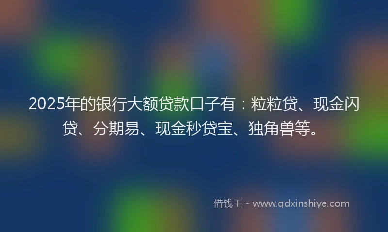 2025年的银行大额贷款口子有：粒粒贷、现金闪贷、分期易、现金秒贷宝、独角兽等。