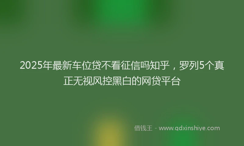 2025年最新车位贷不看征信吗知乎，罗列5个真正无视风控黑白的网贷平台