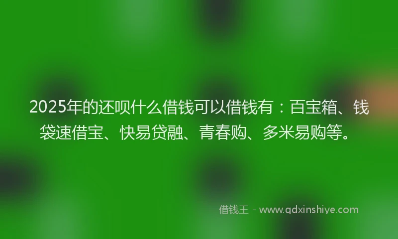 2025年的还呗什么借钱可以借钱有：百宝箱、钱袋速借宝、快易贷融、青春购、多米易购等。