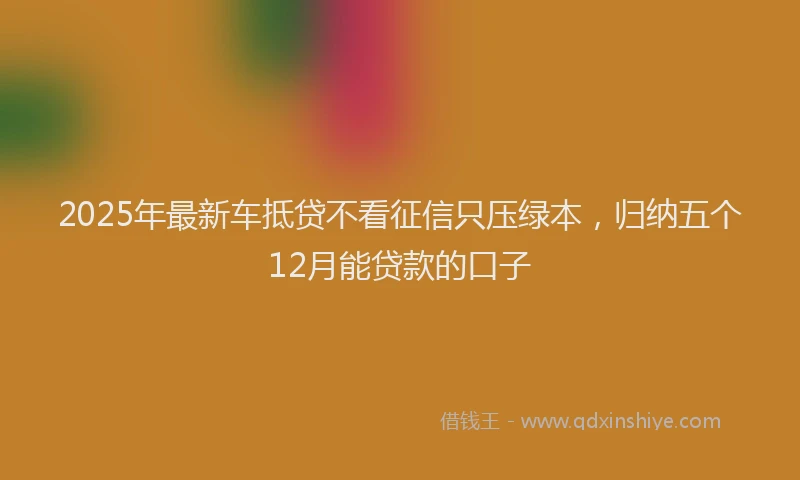 2025年最新车抵贷不看征信只压绿本，归纳五个12月能贷款的口子