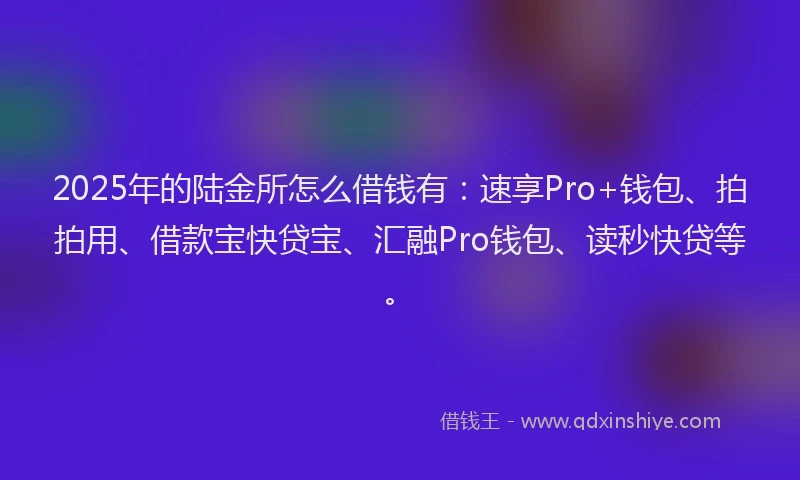2025年的陆金所怎么借钱有：速享Pro+钱包、拍拍用、借款宝快贷宝、汇融Pro钱包、读秒快贷等。