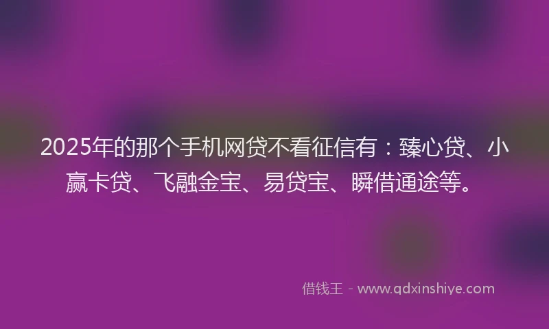 2025年的那个手机网贷不看征信有：臻心贷、小赢卡贷、飞融金宝、易贷宝、瞬借通途等。