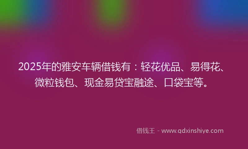 2025年的雅安车辆借钱有：轻花优品、易得花、微粒钱包、现金易贷宝融途、口袋宝等。