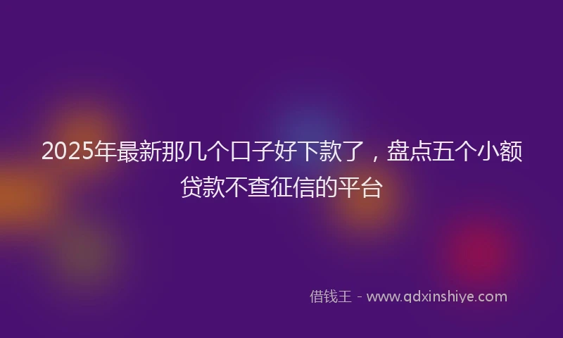 2025年最新那几个口子好下款了，盘点五个小额贷款不查征信的平台