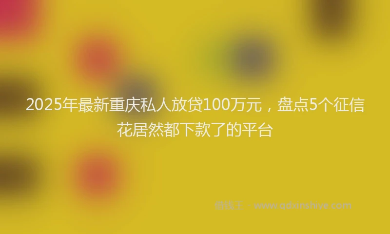 2025年最新重庆私人放贷100万元，盘点5个征信花居然都下款了的平台