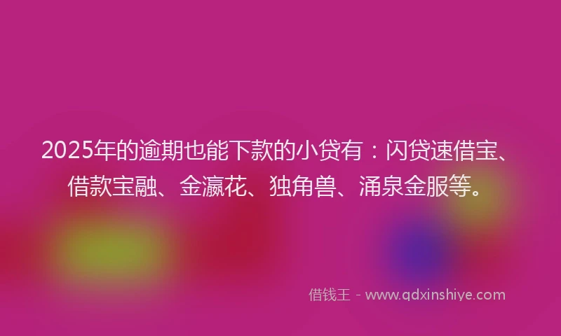 2025年的逾期也能下款的小贷有：闪贷速借宝、借款宝融、金瀛花、独角兽、涌泉金服等。