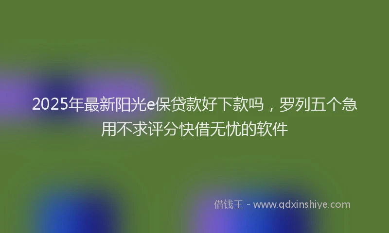 2025年最新阳光e保贷款好下款吗，罗列五个急用不求评分快借无忧的软件