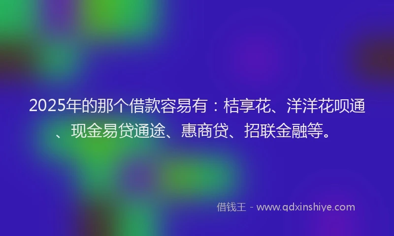 2025年的那个借款容易有：桔享花、洋洋花呗通、现金易贷通途、惠商贷、招联金融等。
