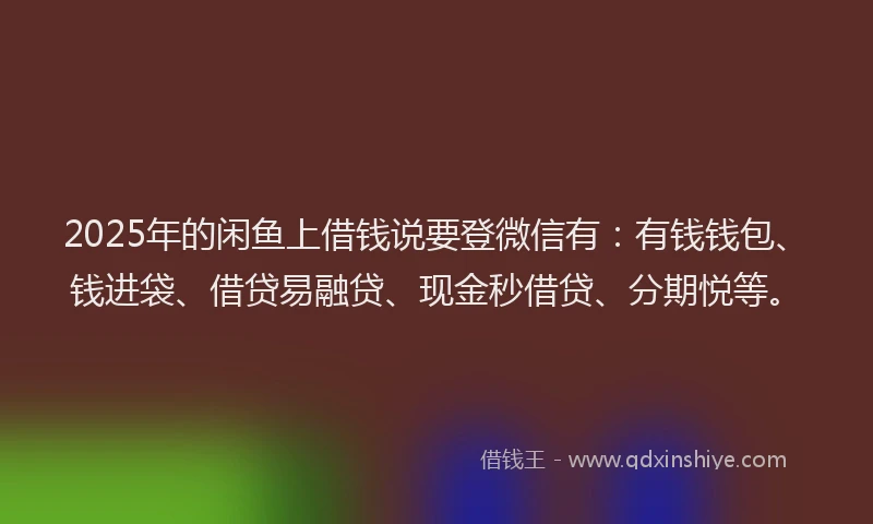 2025年的闲鱼上借钱说要登微信有：有钱钱包、钱进袋、借贷易融贷、现金秒借贷、分期悦等。