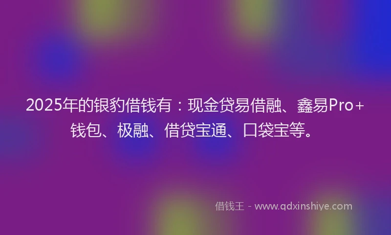 2025年的银豹借钱有：现金贷易借融、鑫易Pro+钱包、极融、借贷宝通、口袋宝等。