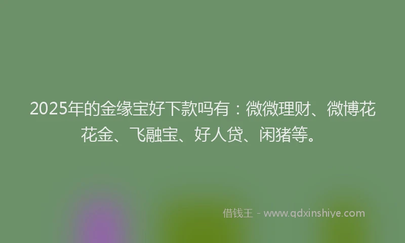 2025年的金缘宝好下款吗有：微微理财、微博花花金、飞融宝、好人贷、闲猪等。