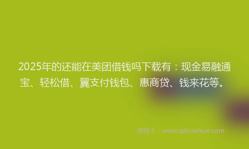 2025年的还能在美团借钱吗下载有：现金易融通宝、轻松借、翼支付钱包、惠商贷、钱来花等。