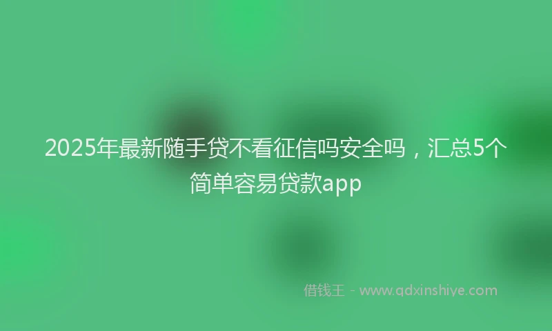 2025年最新随手贷不看征信吗安全吗，汇总5个简单容易贷款app