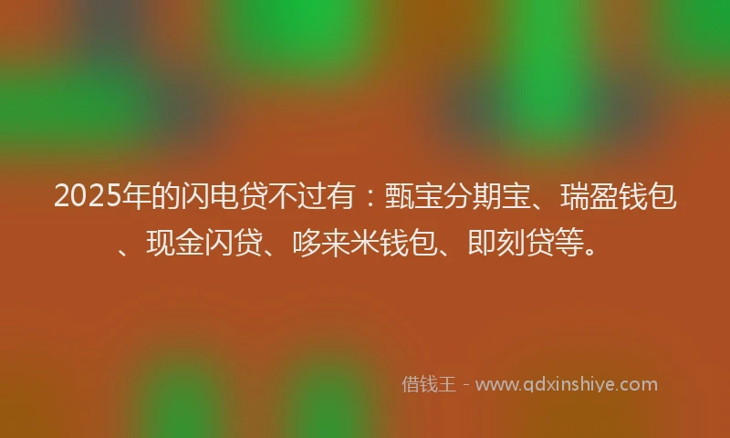 2025年的闪电贷不过有：甄宝分期宝、瑞盈钱包、现金闪贷、哆来米钱包、即刻贷等。