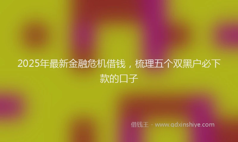 2025年最新金融危机借钱，梳理五个双黑户必下款的口子