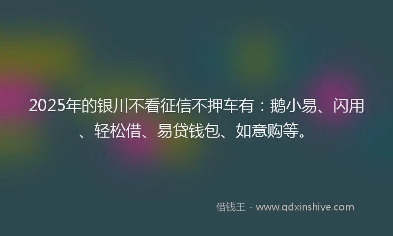 2025年的银川不看征信不押车有：鹅小易、闪用、轻松借、易贷钱包、如意购等。