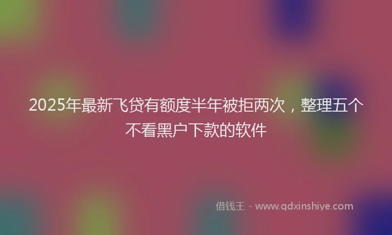 2025年最新飞贷有额度半年被拒两次，整理五个不看黑户下款的软件