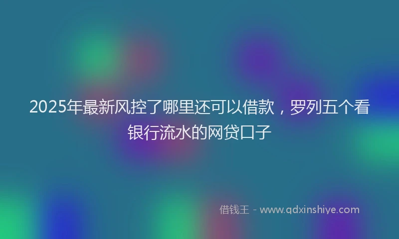 2025年最新风控了哪里还可以借款，罗列五个看银行流水的网贷口子